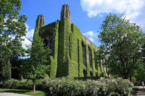 西北大学