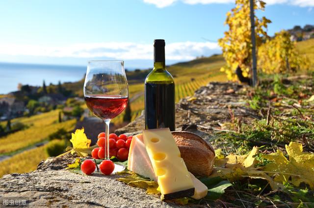 南半球的酒庄生活，来新西兰学习葡萄栽培和酿酒