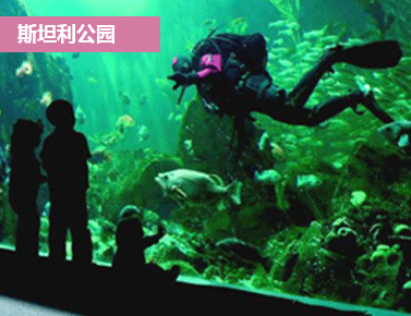 斯坦利公园